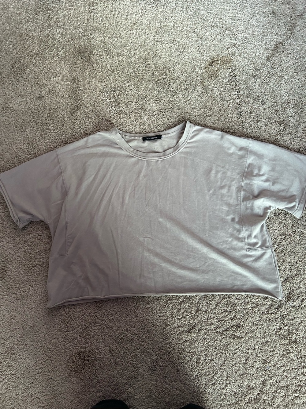 Cropped Crew Neck Tee in Light Gray